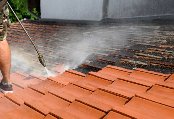 Best Pressure Washing Driveway  in White House, TN